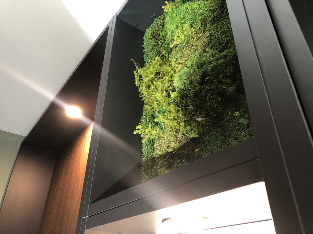 Composition végétale Faubourg des Plantes dans niche de la bibliothèque noire — Atelier EGEA